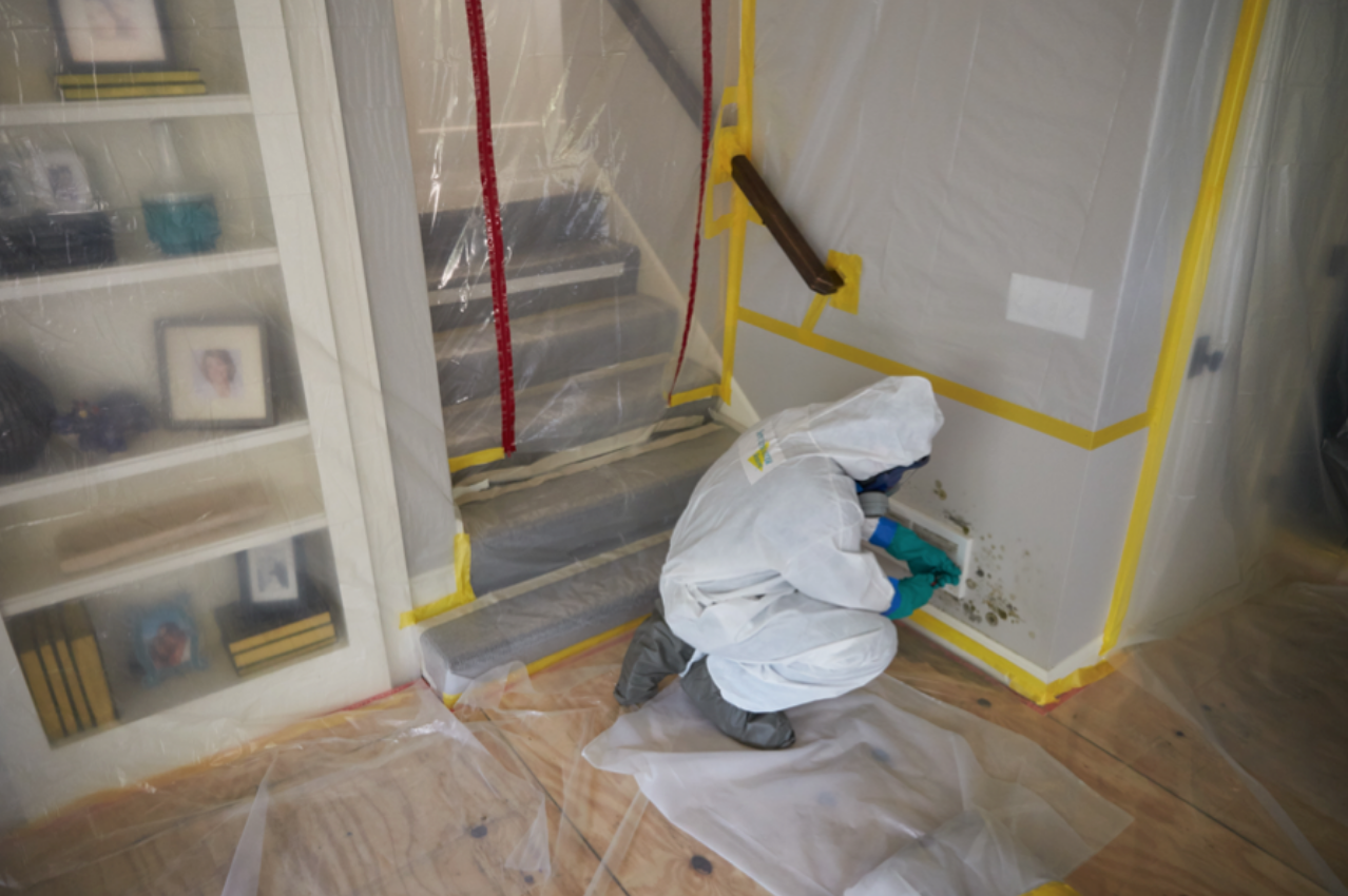 mold-mitigation-nw-colorado-steamboat