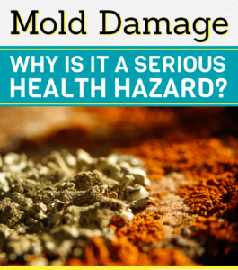 Mold Damage Why Is It A Serious Health Hazard