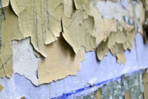 4 Signs your Home has a Mold Infestation Problem