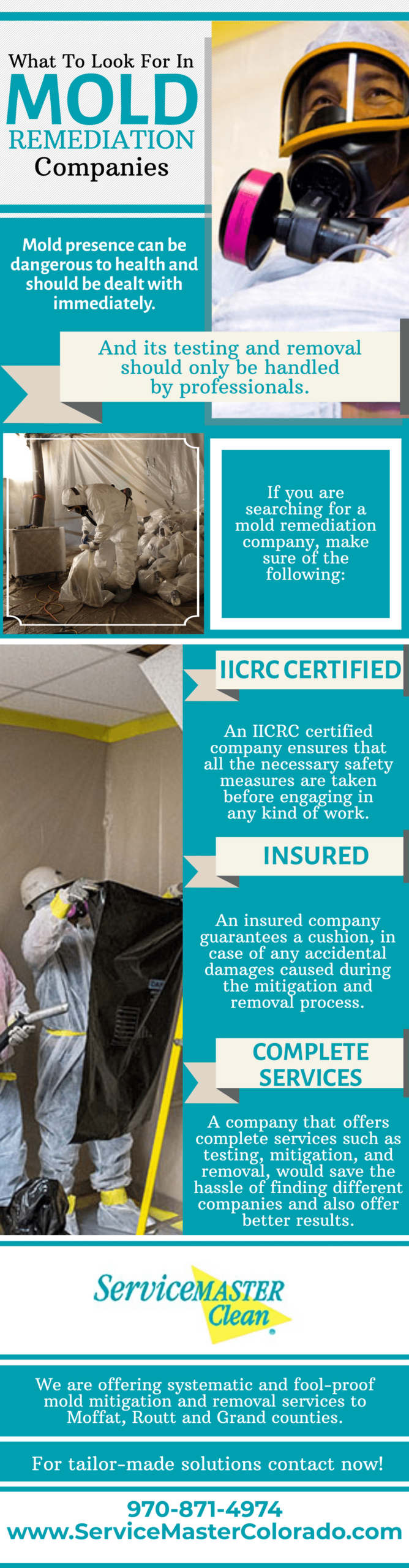 What To Look For In Mold Remediation Companies