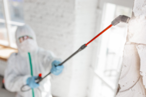 a mold removal company removing mold from a wall