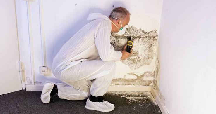 Off-Season Home Preparation in Northwest Colorado: Cleaning, Moisture Prevention, and Restoration for Absentee Owners